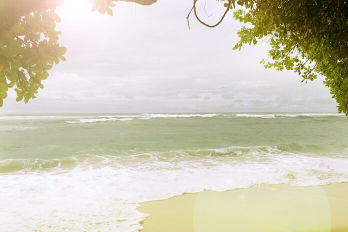 A voew foprm a tropical beach
