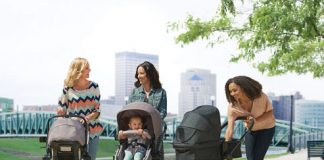 evenflo pivot stroller system