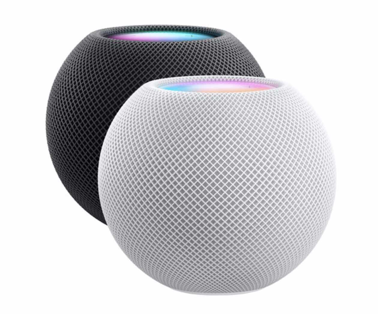 smart display and smart speaker